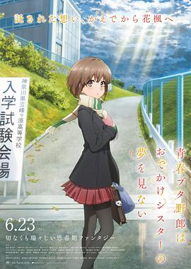老司机在线精品视频91免费观看